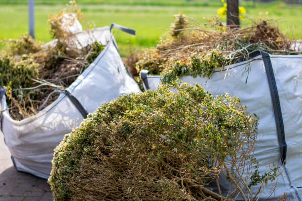 Best Estate Cleanout Services  in Odon, IN